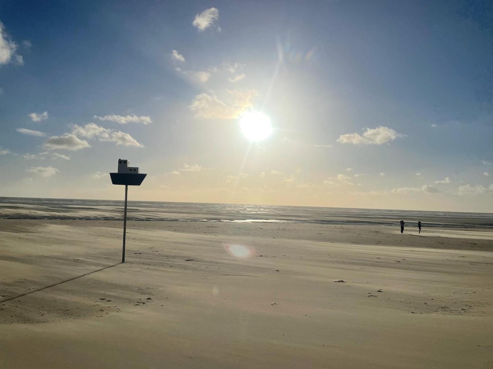 Appartement A Quelques Pas De La Mer Et Du Centre Merlimont-Plage Eksteriør bilde